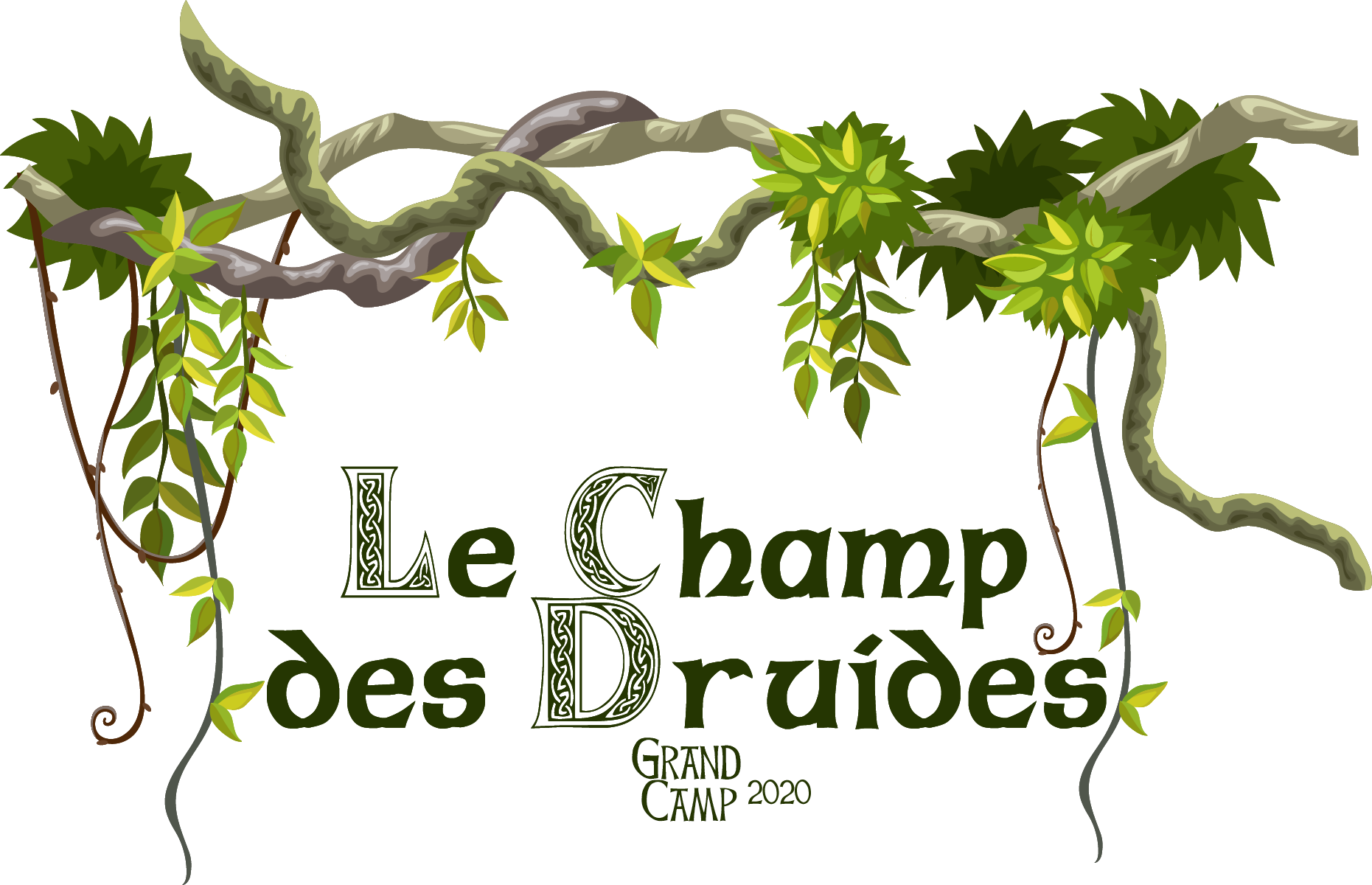 Le Champ des Druides